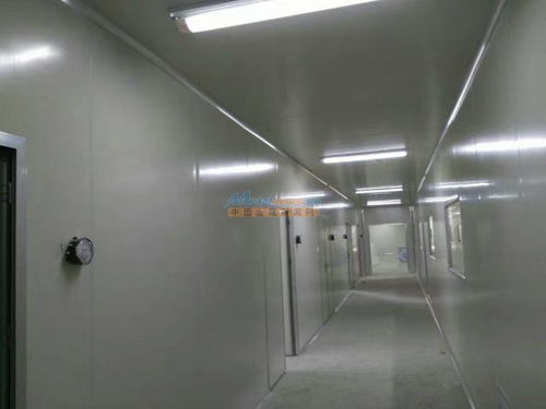 陜西食品廠車間凈化工程裝修 河南豫凈環保科技的解決方案