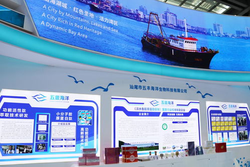 向海圖強，攜手繪就藍色發(fā)展新畫卷——深圳汕尾合作助推海洋經(jīng)濟高質(zhì)量發(fā)展