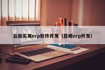 云南實用ERP軟件開發 聚焦昆明本地化需求，推動企業數字化轉型